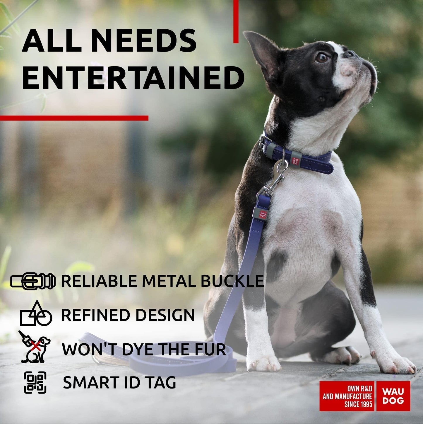 Durable Leather Small Dog Collar