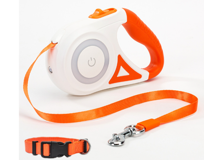 FlexiComfort Leash and Collar Set for Dogs