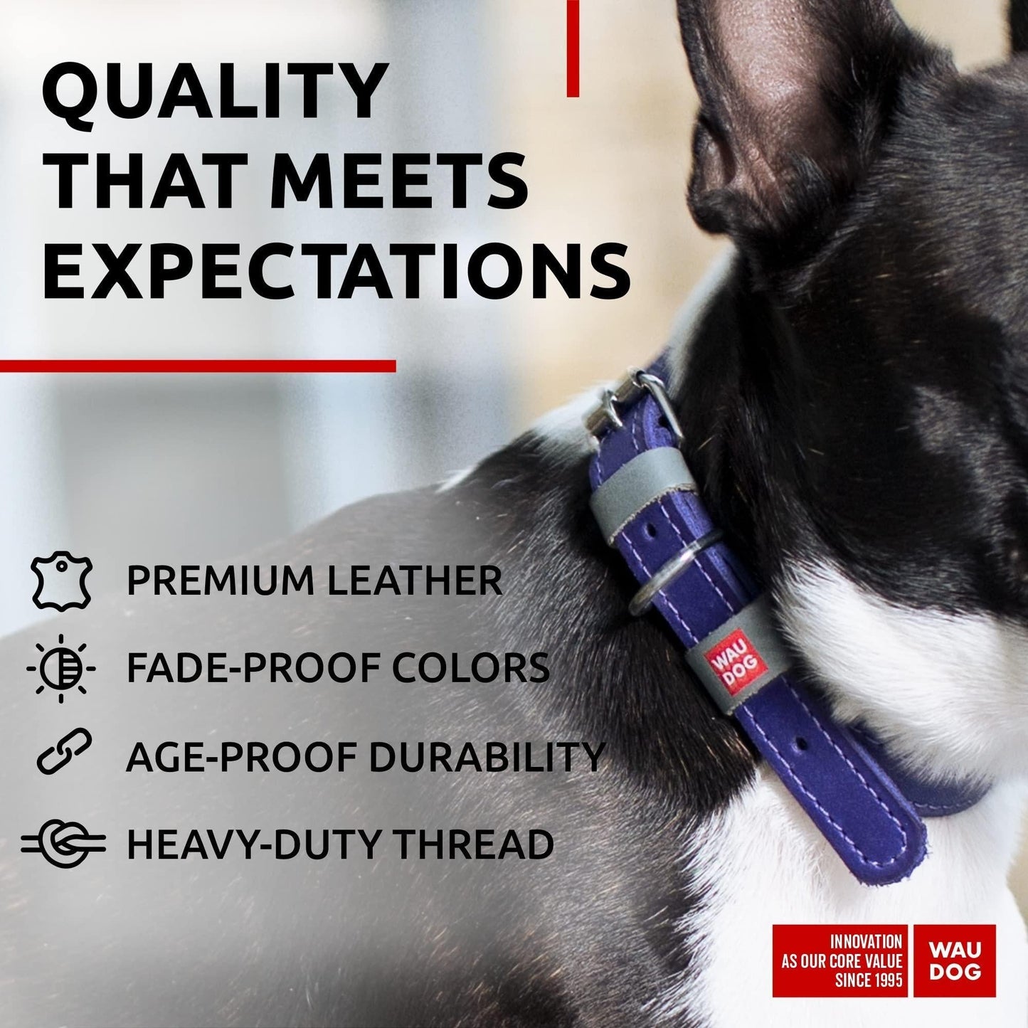 Durable Leather Small Dog Collar