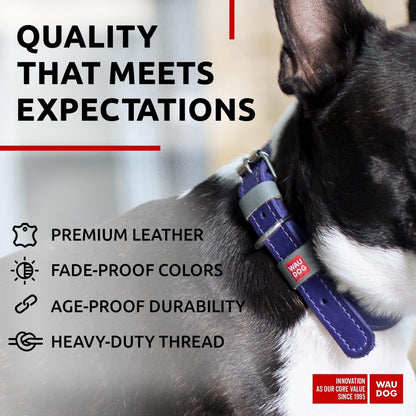 Durable Leather Small Dog Collar