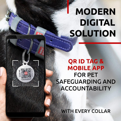 Durable Leather Small Dog Collar