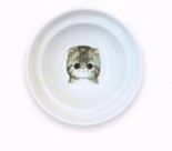 ErgoCat Bowl Stand for Food and Water
