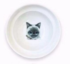 ErgoCat Bowl Stand for Food and Water