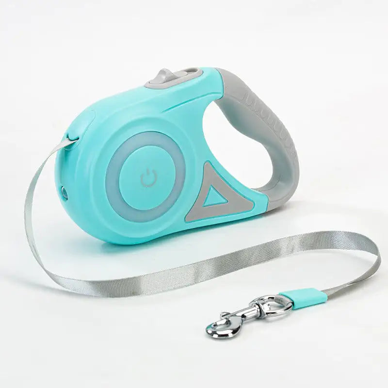 FlexiComfort Leash and Collar Set for Dogs