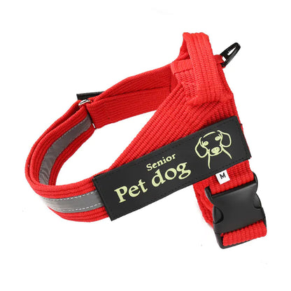 Dog Walking Chain Leash with Vest Harness for Dogs