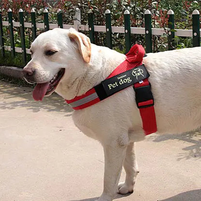 Dog Walking Chain Leash with Vest Harness for Dogs