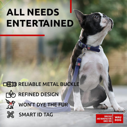 Durable Leather Small Dog Collar