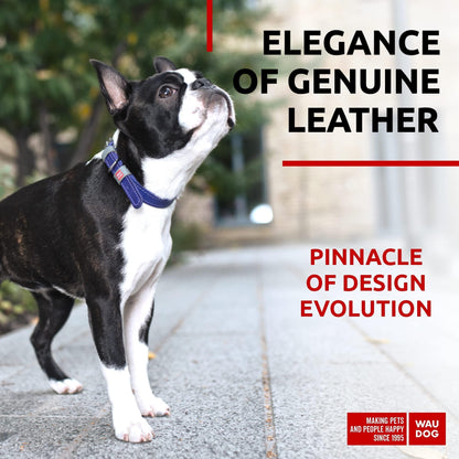 Durable Leather Small Dog Collar