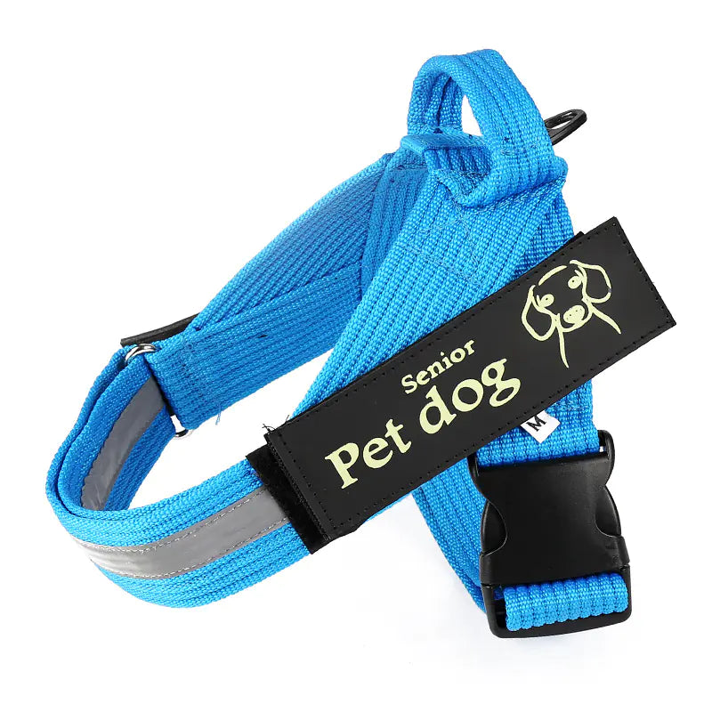 Dog Walking Chain Leash with Vest Harness for Dogs