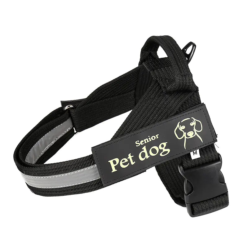 Dog Walking Chain Leash with Vest Harness for Dogs